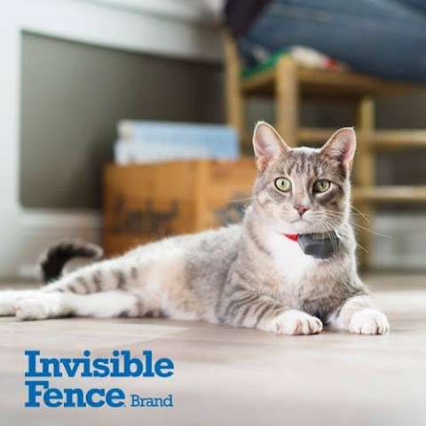 Invisible Fence Brand By Hastings Pet Services