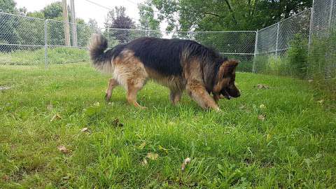 Quinte Humane Society